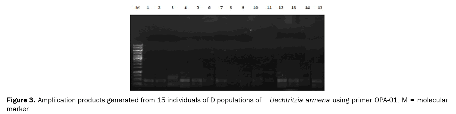 Biology-Ampliication-products-generated-from-15-individuals-D-populations
