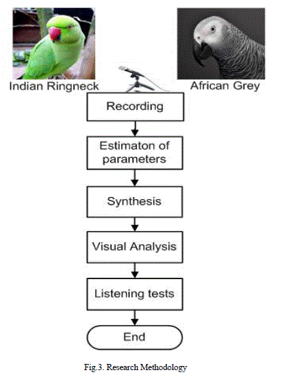 Parrot Noise Level Chart