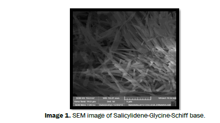 Journal-of-Chemistry-salicylidene-alanine-schiff