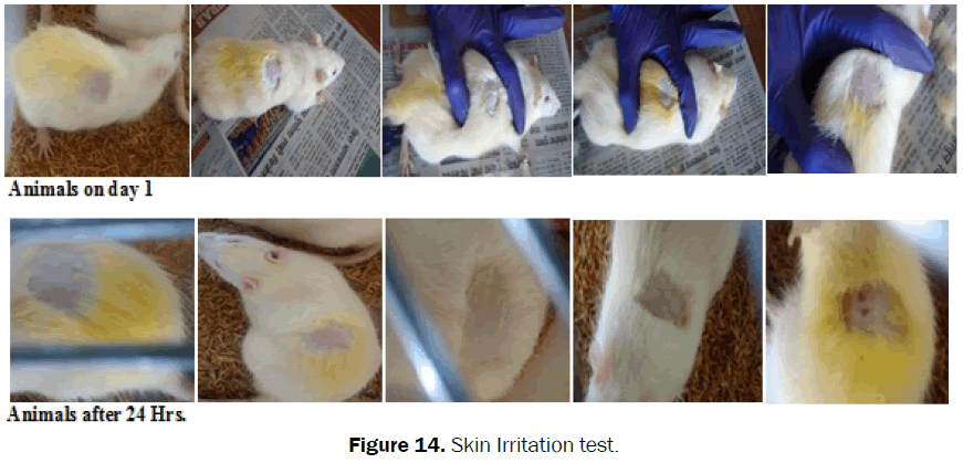 Pharmaceutics-Nanotechnology-Skin-Irritation-test