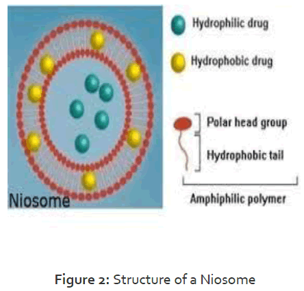 Pharmaceutics-Nanotechnology-Structure-Niosome