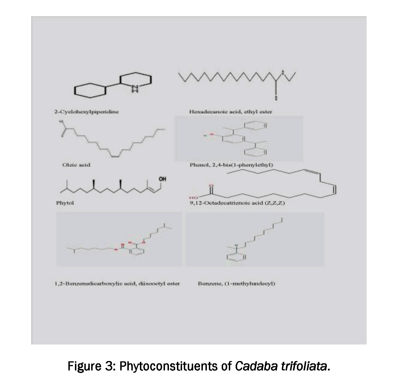 Pharmacognsoy-Phytochemistry-Phytoconstituents-Cadaba-trifoliata