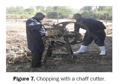 agriculture-allied-sciences-chaff-cutter