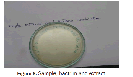 biology-extract-bactrim