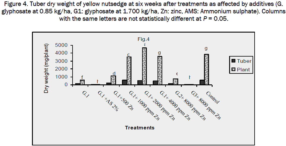 botanical-sciences-yellow-nutsedge-affected