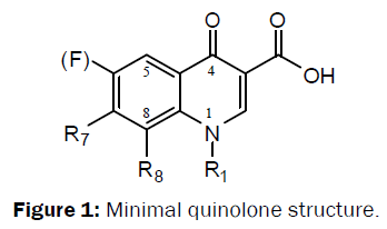 chemistry-quinolone-structure