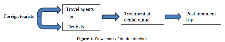dental-sciences-Flow-chart-dental-tourism
