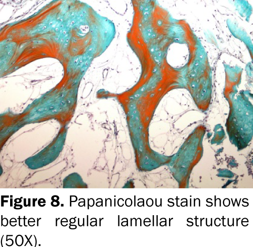 dental-sciences-Papanicolaou-stain-regular