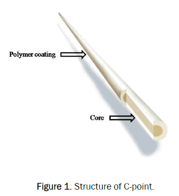 dental-sciences-structure-point