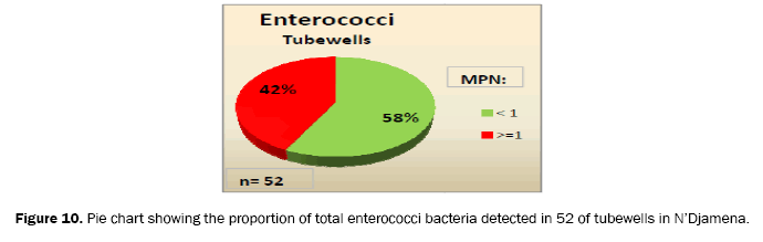 ecology-and-environmental-sciences-enterococc-bacteria