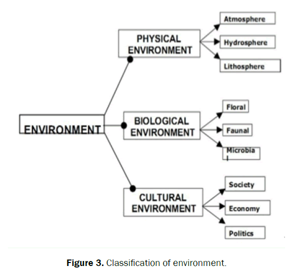 ecology-environmental-sciences-classification-environment