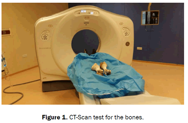 engineering-technology-CT-Scan-test-bones