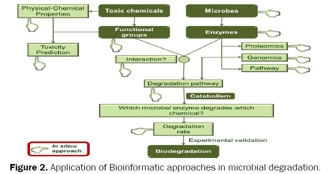 environmental-sciences-Application-Bioinformatic-approaches