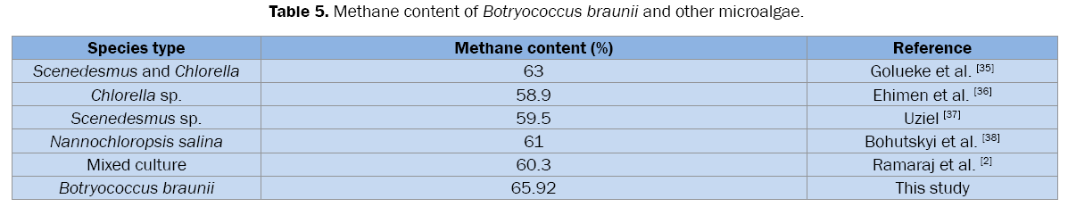 environmental-sciences-Botryococcus-braunii