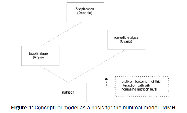 environmental-sciences-Conceptual-model-as-basis