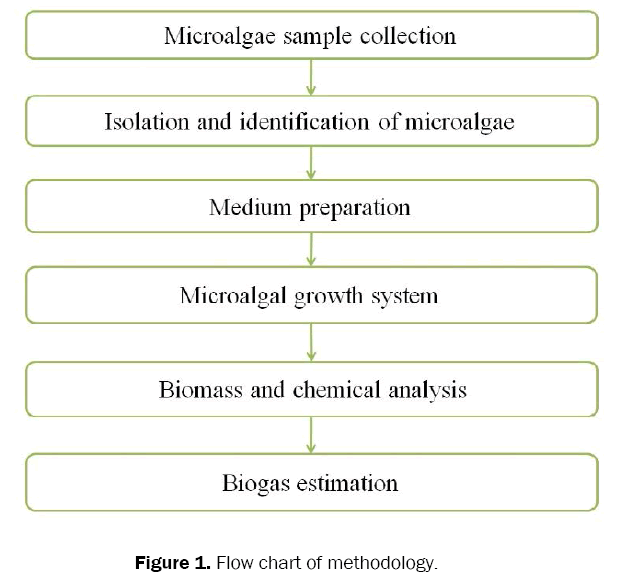 environmental-sciences-Flow-chart-methodology