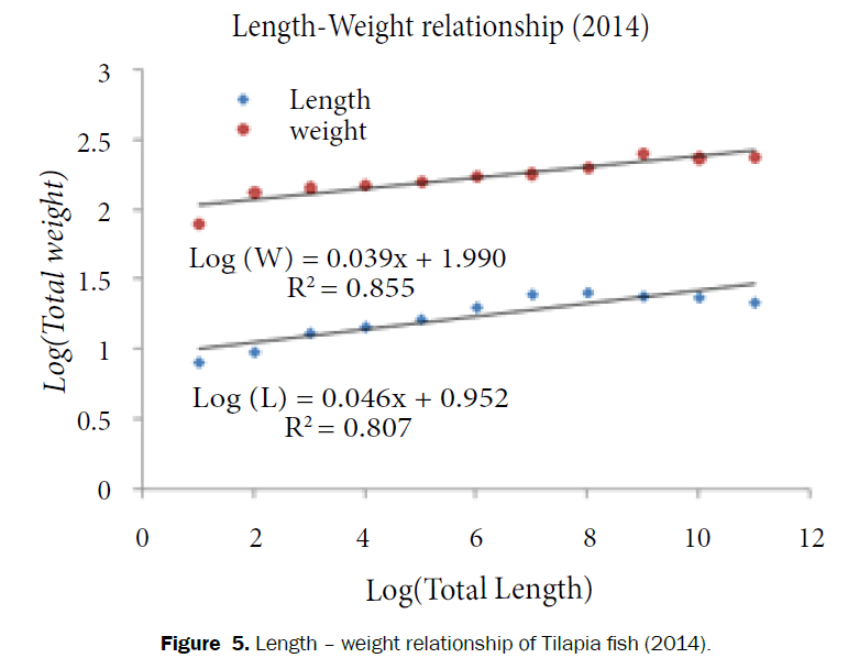 environmental-sciences-Length–weight-Tilapia