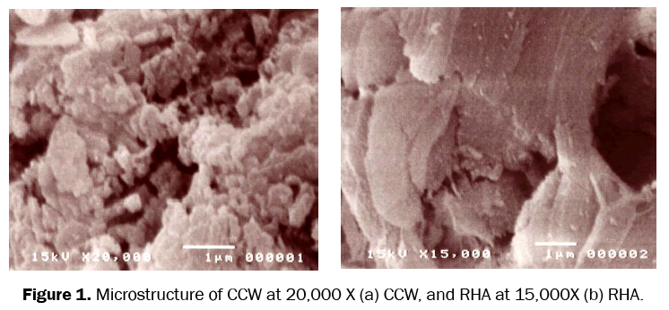 environmental-sciences-Microstructure-CCW