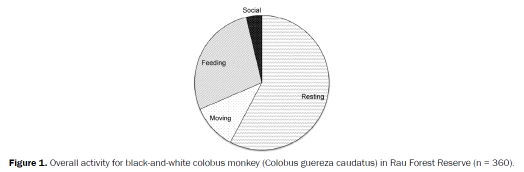 environmental-sciences-Overall-activity-colobus-monkey
