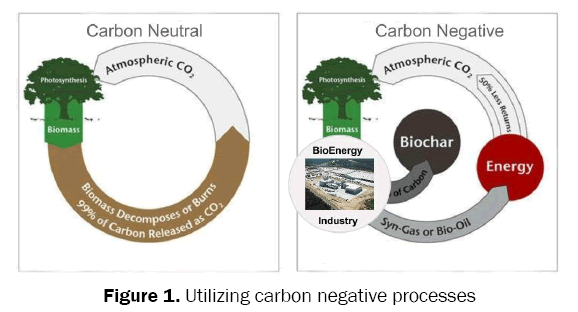 environmental-sciences-carbon-negative-processes