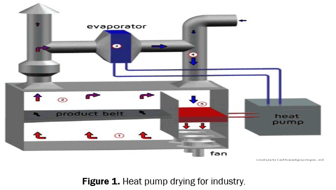 food-and-dairy-technology-pump