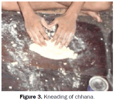 food-dairy-technology-Kneading-Chhana