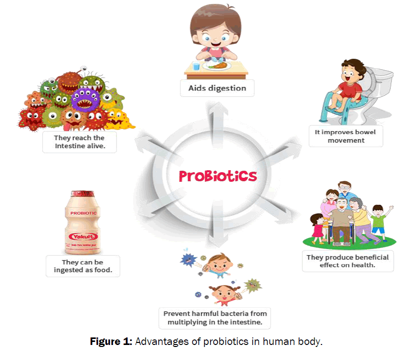 food-dairy-technology-probiotics-human-body