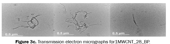 material-sciences-electron-micrographs