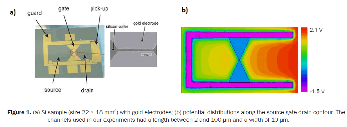 material-sciences-gold-electrodes-potential