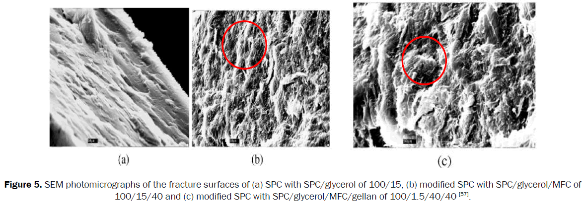 material-sciences-photomicrographs-fracture-surfaces