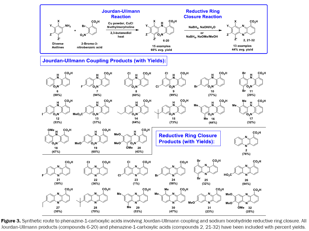 medicinal-organic-chemistry-phenazine-1-carboxylic