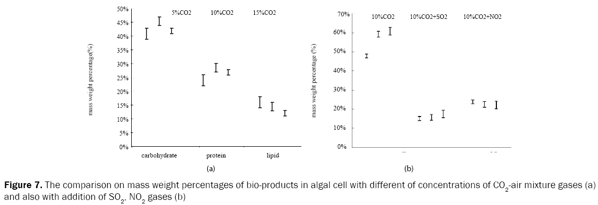 microbiology-and-biotechnology-comparison-mass-weight-percentages