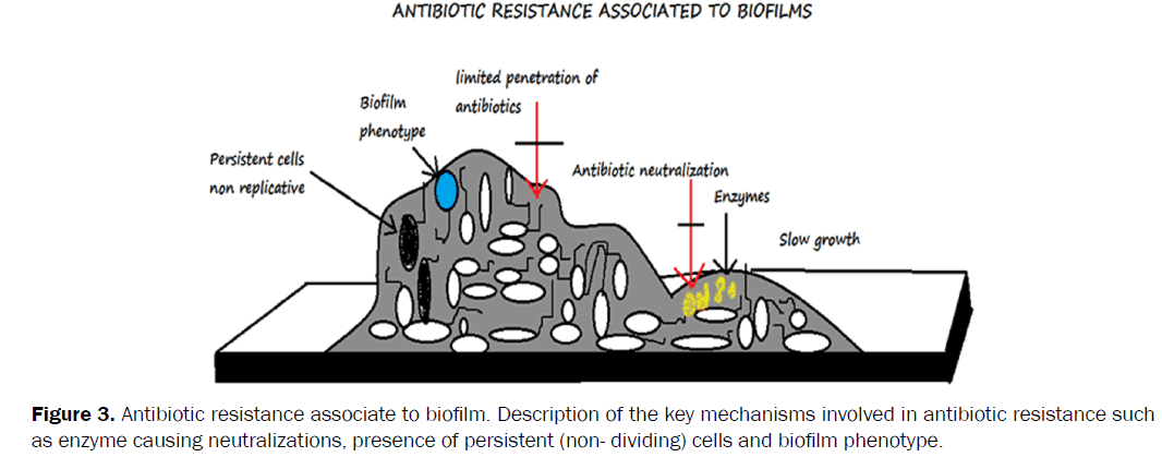 microbiology-biotechnology-Antibiotic-resistance-associate