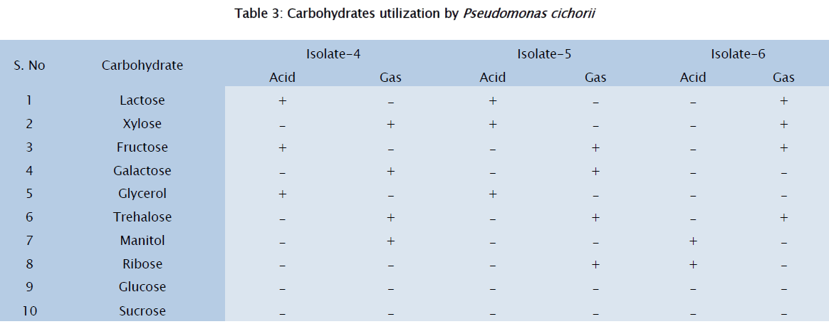microbiology-biotechnology-Carbohydrates-utilization