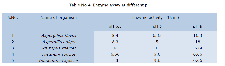 microbiology-biotechnology-Enzyme-assay