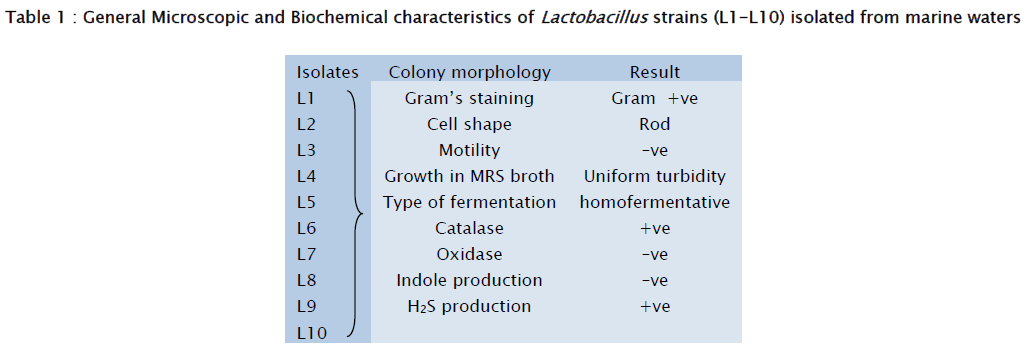 microbiology-biotechnology-General-Microscopic