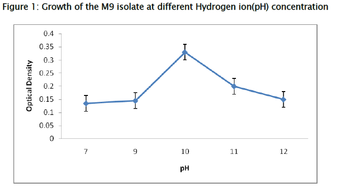 microbiology-biotechnology-M9-isolate-Hydrogen