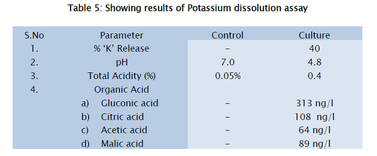 microbiology-biotechnology-Potassium-dissolution-assay