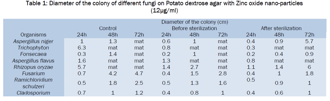 microbiology-biotechnology-Potato-dextrose-agar