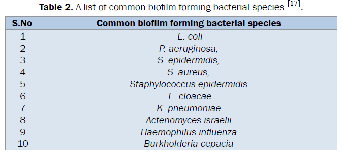 microbiology-biotechnology-common-biofilm-forming