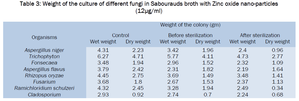microbiology-biotechnology-different-fungi-Sabourauds