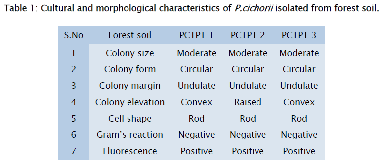 microbiology-biotechnology-forest-soil