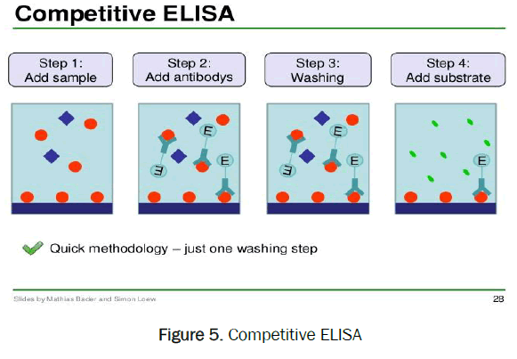 pharmaceutical-analysis-Competitive-ELISA