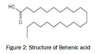 pharmaceutics-nanotechnology-Behenic-acid