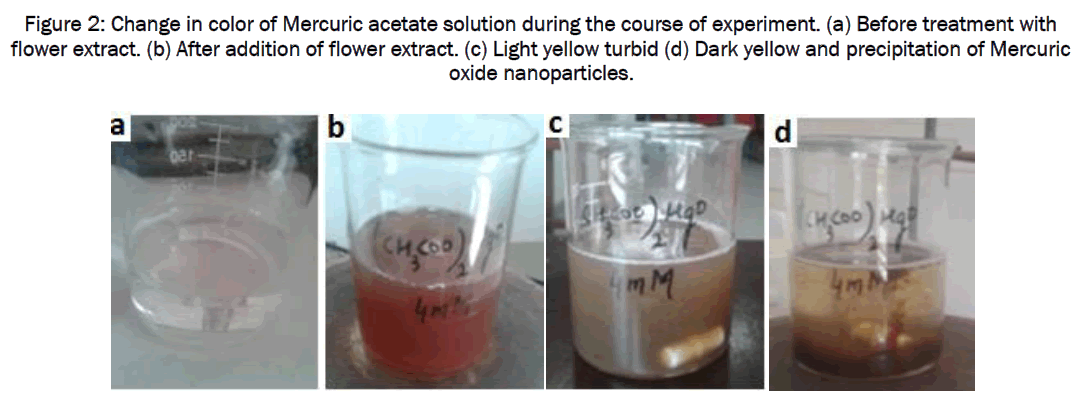 pharmaceutics-nanotechnology-Mercuric-acetate-solution