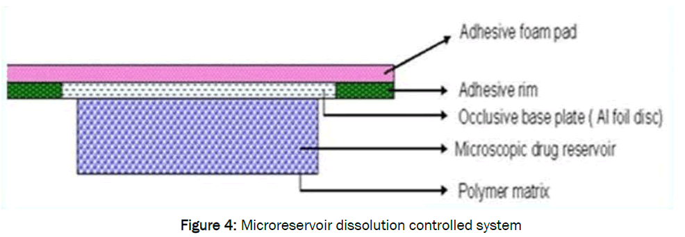 pharmaceutics-nanotechnology-Microreservoir-dissolution