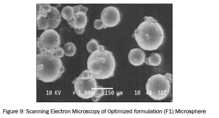 pharmaceutics-nanotechnology-Scanning-Electron-Microscopy