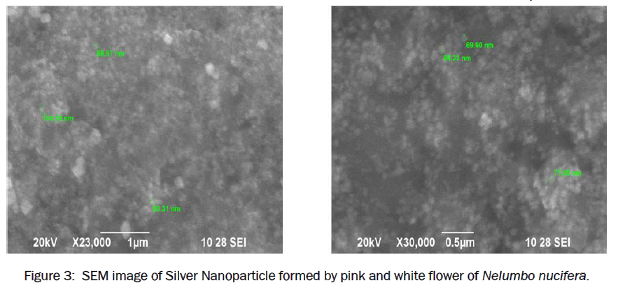 pharmaceutics-nanotechnology-Silver-Nanoparticle-formed