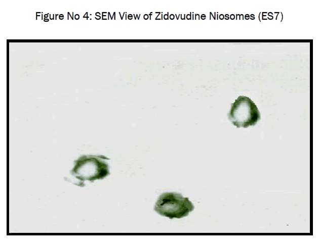 pharmaceutics-nanotechnology-Zidovudine