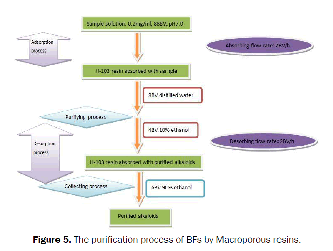 pharmacognosy-phytochemistry-BFs-Macroporous-resins